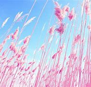Image result for Pink Desktop Wallpaper HD 1080P