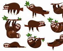 Image result for Sloth Animal Cartoon
