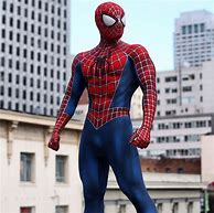 Image result for Real Spider-Man Costume
