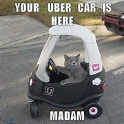 Image result for Cat Driving Car Meme