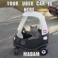 Image result for Cat Car Meme