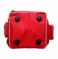 Image result for Cricket Bag