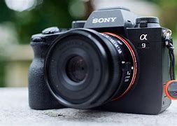 Image result for Shooting High ISO On Sony A9ii