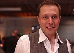 Image result for Chinese Elon Musk