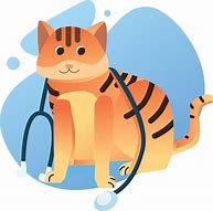 Image result for Cat as Doctor