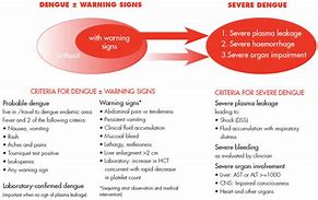 Image result for Dengue Warning Signs