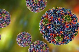 Image result for Human Papillomavirus Infection in Men