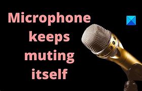 Image result for Beacon Microphone Mute