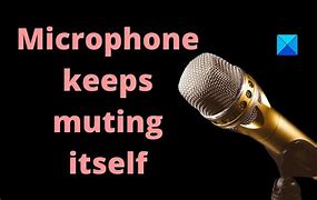 Image result for Beacon Microphone Mute