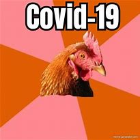 Image result for Pinky and Brain Covid Meme