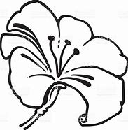 Image result for Tropical Flower Clip Art Black and White