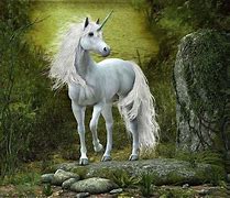 Image result for Beautiful Real Unicorns