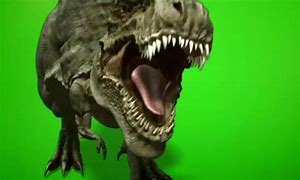 Image result for Green screen Clips