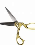 Image result for Scissors for Cutting Hair