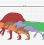 Image result for Dinosaur Size Comparison Chart