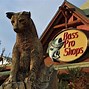 Image result for Bass Pro Shops Outdoor World