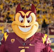 Image result for Arizona College Mascot