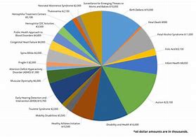 Image result for 2019 U.S. Budget Pie-Chart
