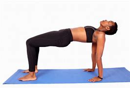 Image result for Core Exercises Examples