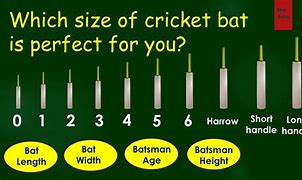 Image result for Cricket Bat Size Chart