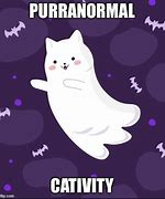 Image result for Ghost Cat Meme