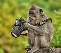 Image result for Silly Camera