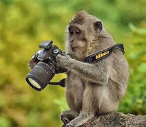 Image result for Funny Photography Moments
