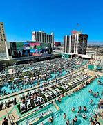Image result for Circa Sportsbook Pool