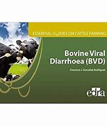 Image result for Warts On Cattle