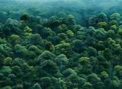 Image result for Green Blue View