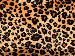 Image result for Pink Cheetah Print PNG