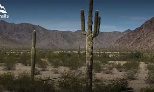 Image result for Sonoran Desert Trails Arizona