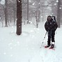 Image result for Japan Alps Winter