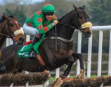 Image result for Horse Racing Documentary