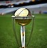 Image result for Cricket World Cup