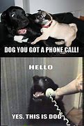 Image result for Dog Holding Phone Meme