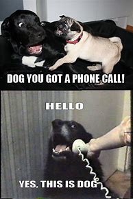 Image result for Dog Phone Meme
