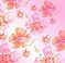 Image result for Flower Wallpaper for iPhone 6