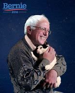 Image result for Cats for Bernie