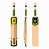Image result for Plain Cricket Bat with Stickers