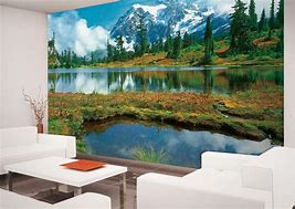 Image result for wall murals