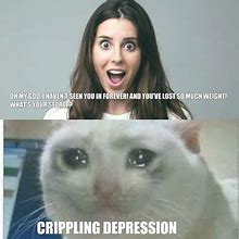 Image result for White Cat Crying Meme