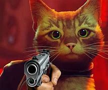 Image result for Cat Shooting Gun