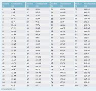 Image result for Convcersion Chart Cm to Inches