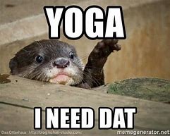 Image result for Yoga Pose Meme