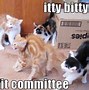 Image result for Cat Finger Meme