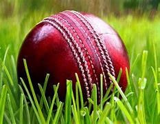 Image result for Cricket Bat and Ball Wallpaper