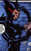 Image result for Batman Beyond Catwoman