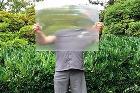 Image result for Canadian Invisibility Cloak