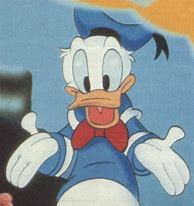 Image result for Donald Duck Front View